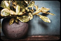 s_julia-couv-filtre-1