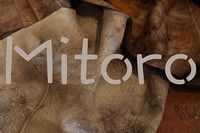 s_mitoro-logo